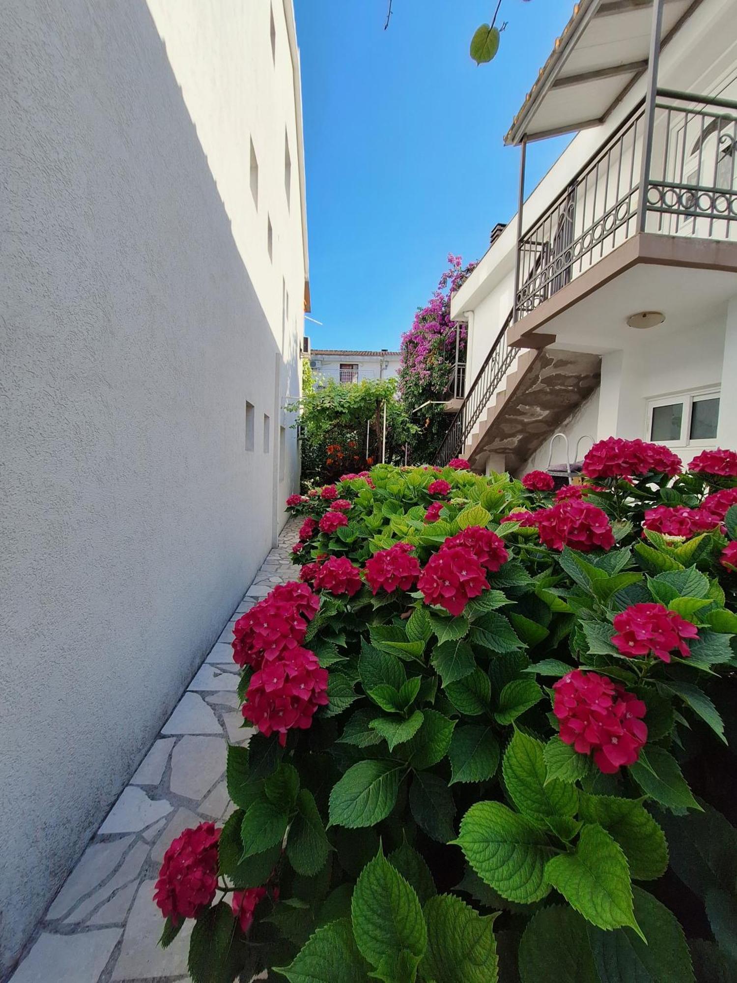 בודווה Apartmani Hortenzija מראה חיצוני תמונה