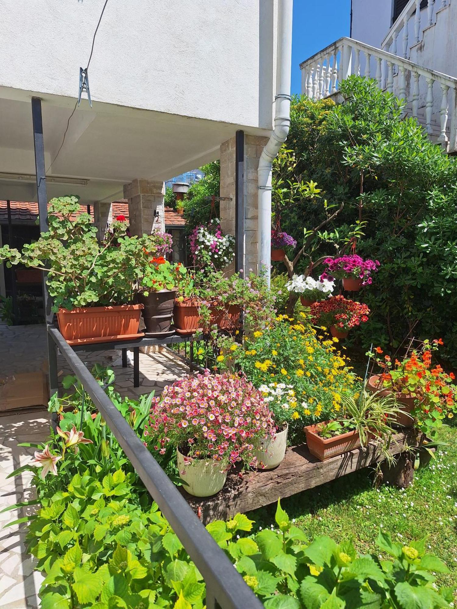 בודווה Apartmani Hortenzija מראה חיצוני תמונה
