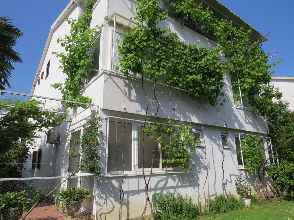 בודווה Apartmani Hortenzija מראה חיצוני תמונה